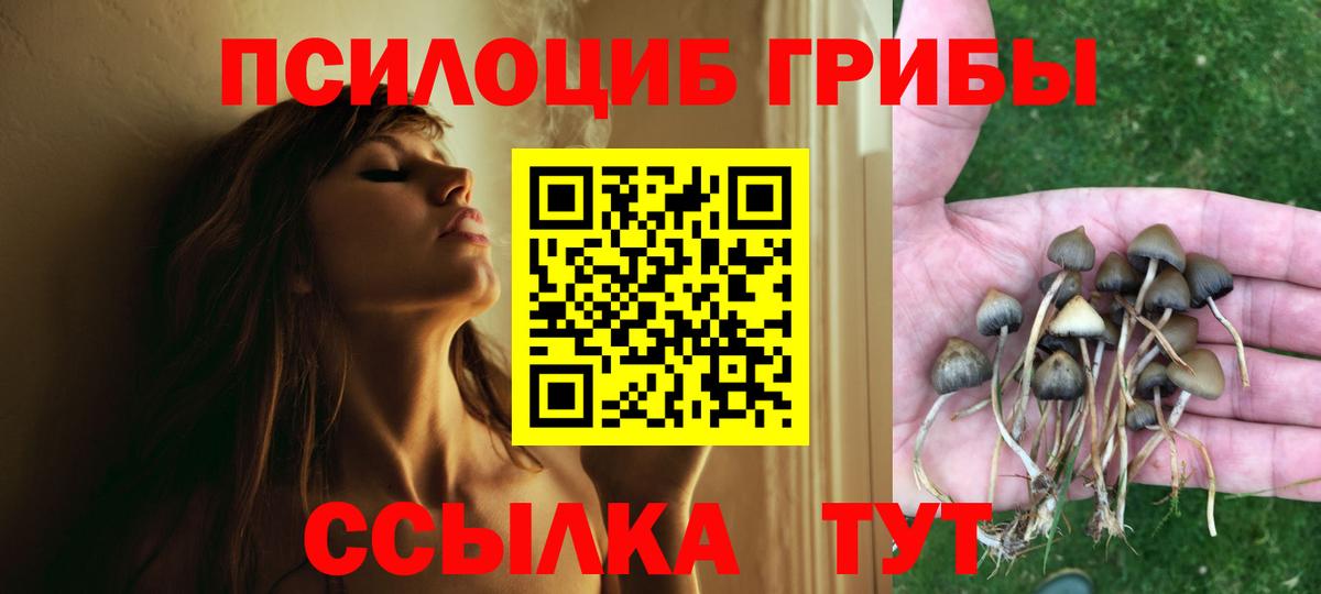 Псилоцибиновые грибы мухоморы Елец