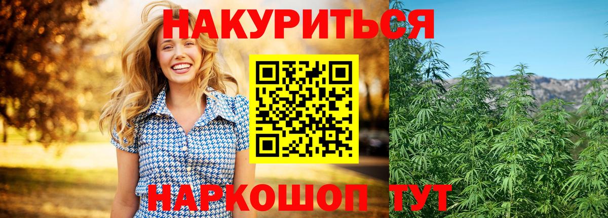 Бошки марихуана MAZAR Елец